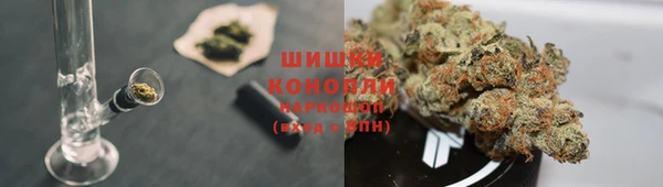 apvp Лагань